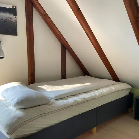 Lisa Am Silbersee * Frielendorf